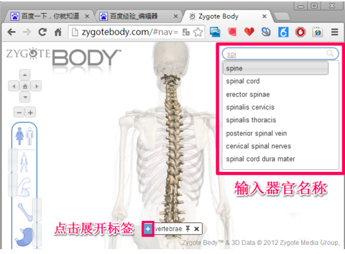 1559550713612686.png 2.png