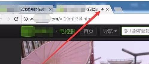 谷歌浏览器标签页中找不到网页静音按钮的设置方法(图文)