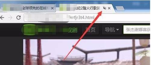 谷歌浏览器标签页中找不到网页静音按钮的设置方法(图文)
