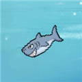 别被鲨鱼吃掉鲨鱼游戏 v1.0安卓版