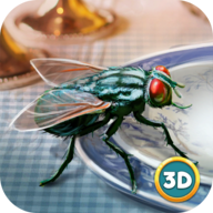 苍蝇模拟器3d模拟游戏