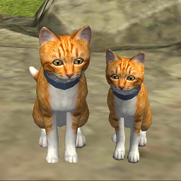 可爱小猫模拟器动物模拟游戏 v1.0.3 安卓版