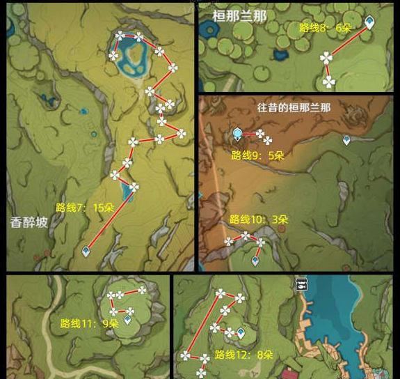 原神须弥蔷薇采集点在哪里