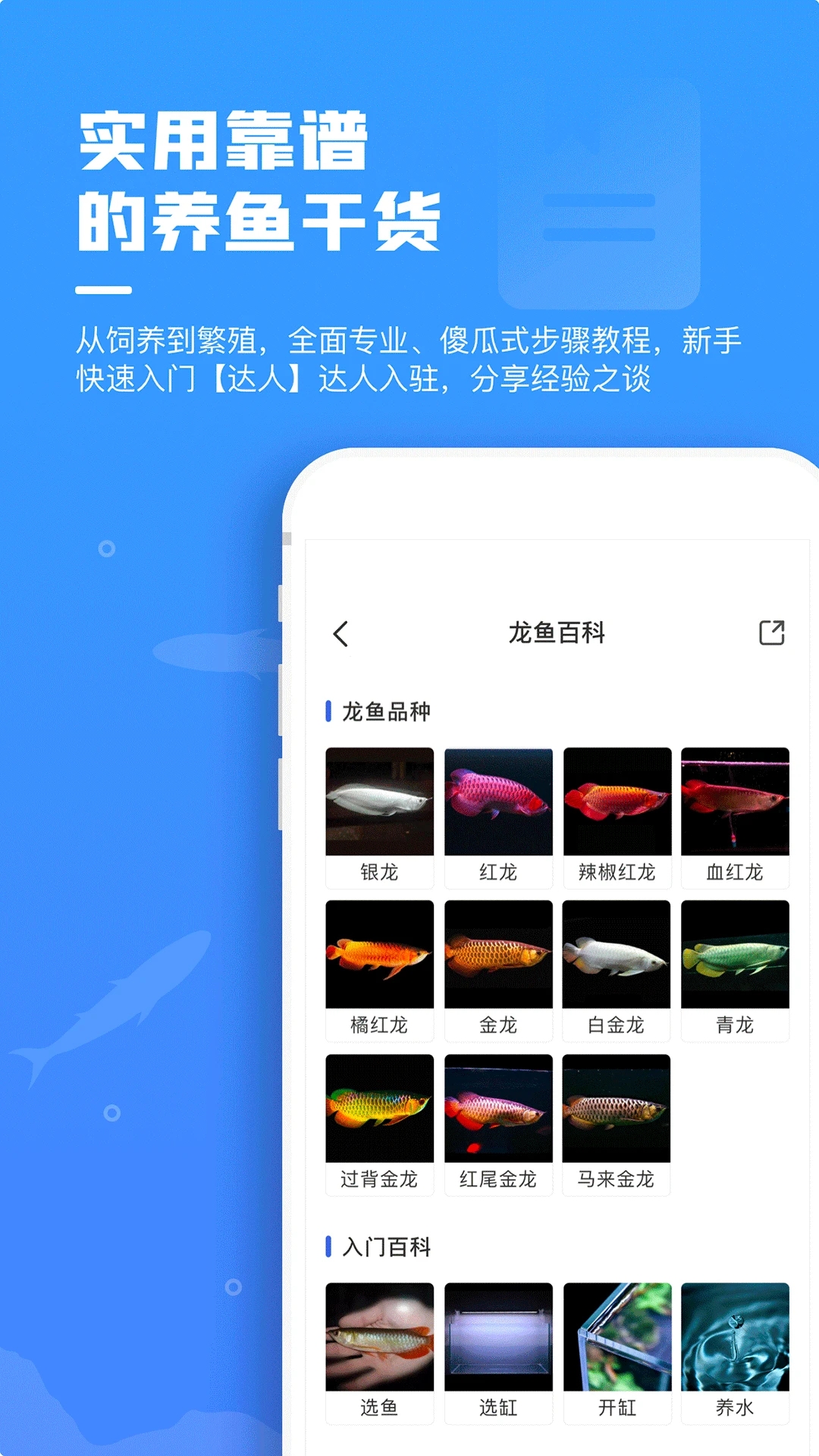 鲲天下APP