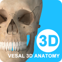维萨里3D解剖免费版 V5.8.5安卓版