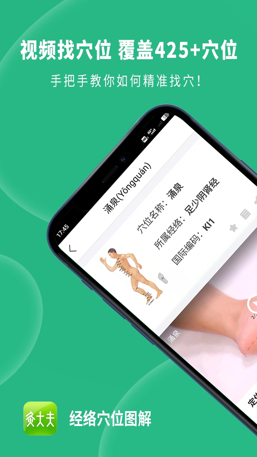 人体经络穴位图解大全