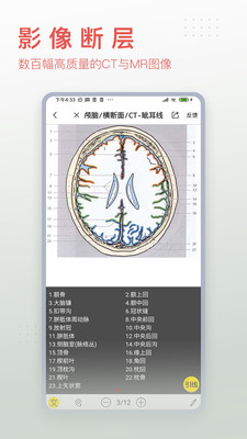 3Dbody解剖免费官网版