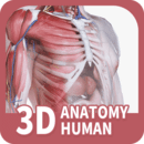 口袋人体解剖APP 安卓版V3.1.0