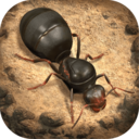 小小蚁国无限资源版 安卓版v1.54.0
