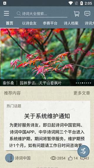 诗词中国APP