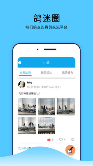 中鸽直播网赛事直播