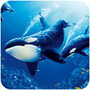 虎鲸模拟器手机版 v1.0.9安卓版