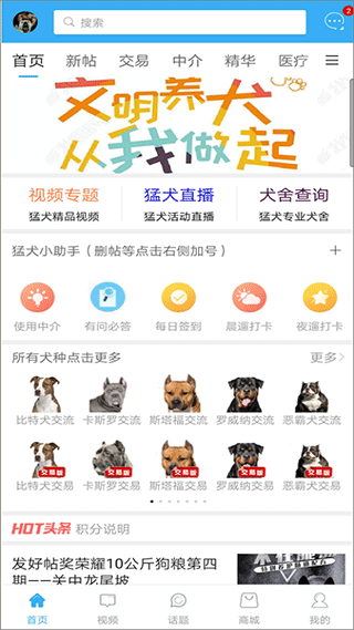 猛犬俱乐部APP