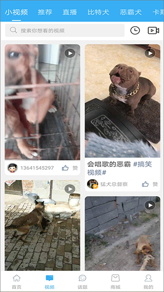 猛犬俱乐部APP