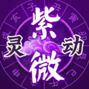 紫微斗数大师APP V8.5.0安卓版