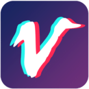 视频豆豆app v3.6.5安卓版