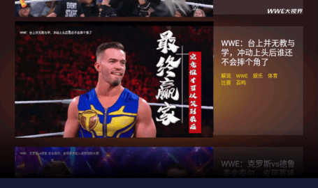 wwe大视界高清电视版(wwe解说)