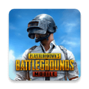 PUBG地铁逃生国际服下载 2024安卓版v3.0.0