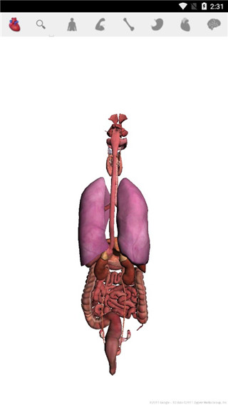 谷歌人体浏览器APP(Body)