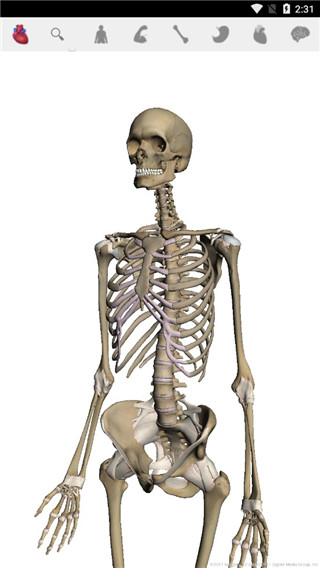 谷歌人体浏览器APP(Body)