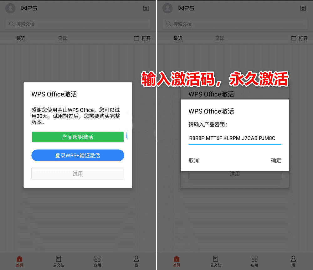 WPS Office Pro专业版破解版