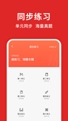 题拍拍(拍照搜答案) 最新版v2.8.5(图2)