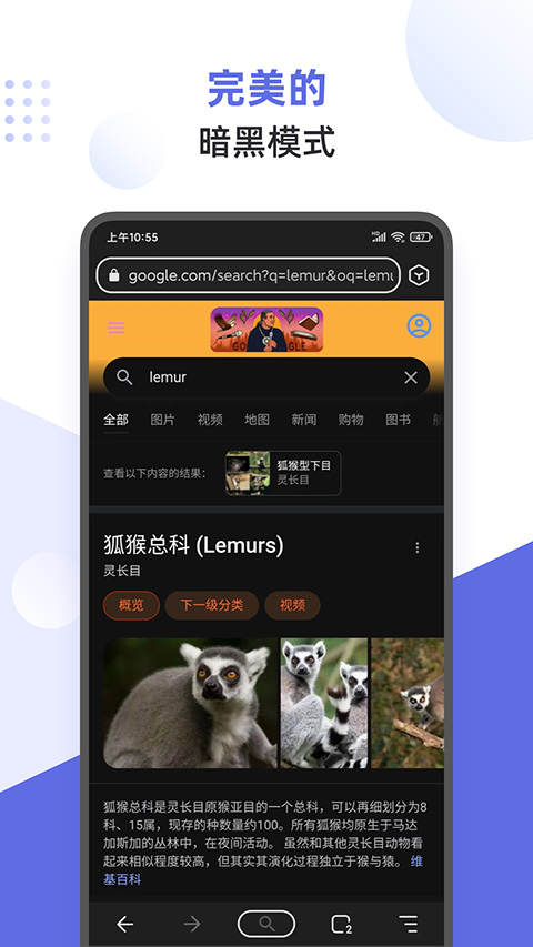 狐猴浏览器APP