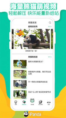 熊猫频道(看大熊猫直播)
