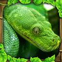 蟒蛇模拟器手机版 v1.6安卓版