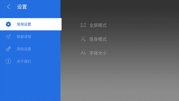 飞视浏览器TV领先版