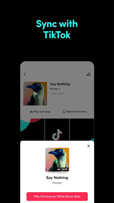 TikTok Musicapp