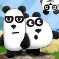 三只熊猫英文版 v1.0安卓版