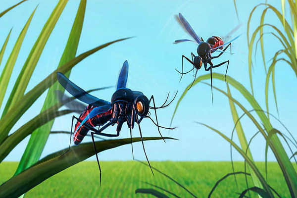 蚊子模拟器3D官方版