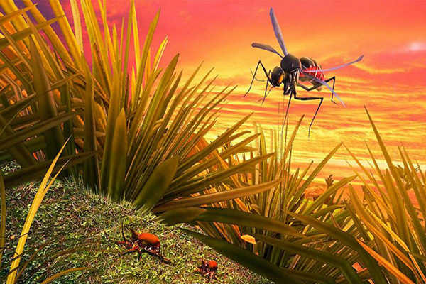蚊子模拟器3D官方版
