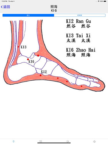 子午灵龟专业版