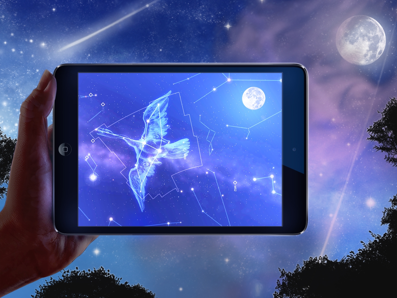 星图APP(Star Chart)