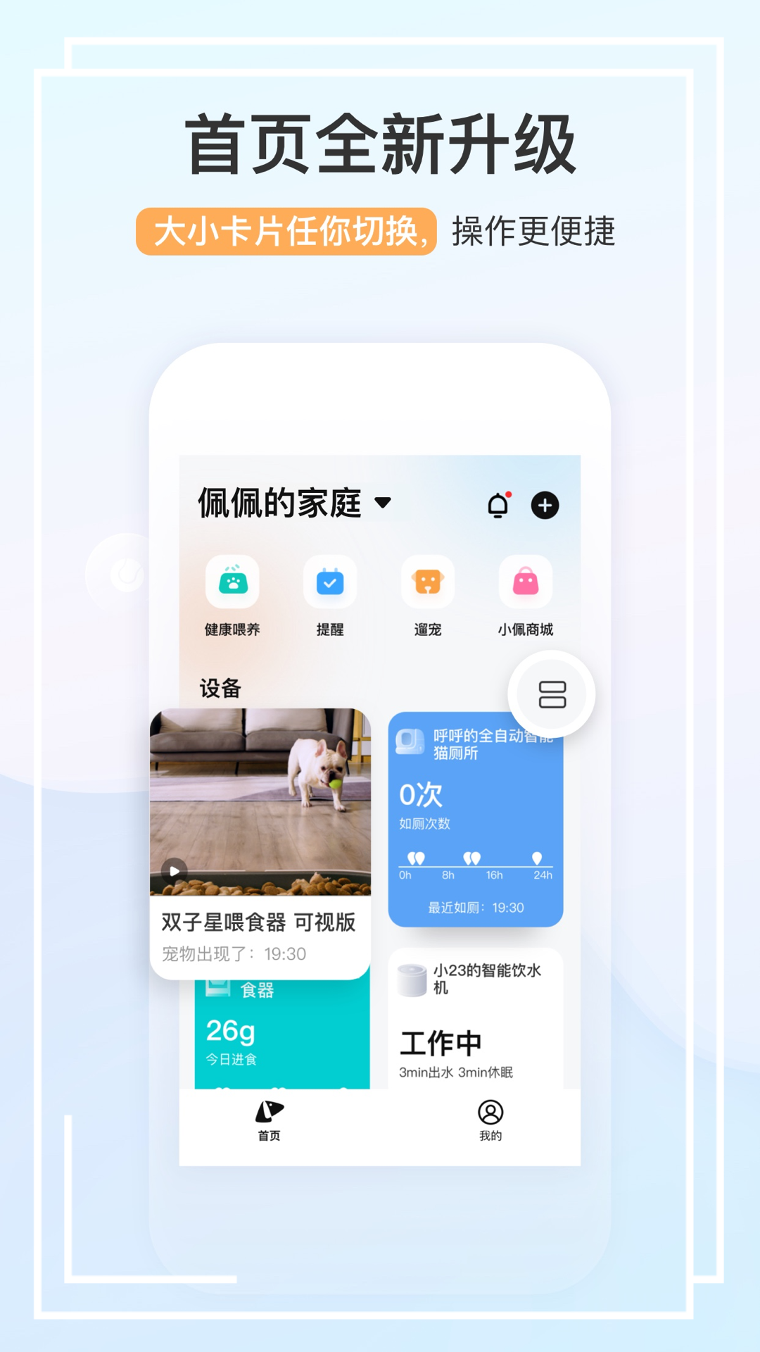 小佩宠物APP