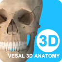 维萨里3D解剖解锁版 安卓破解版v6.6.1
