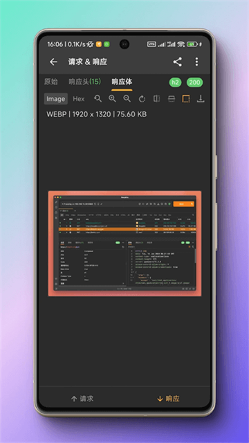 黄鸟抓包app