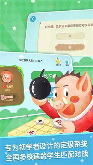 棋小圣app