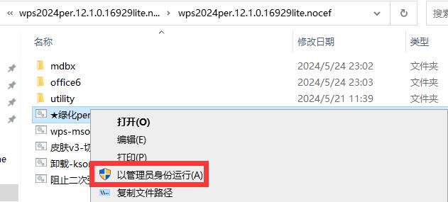 WPS Office 2024精简绿化专业增强版