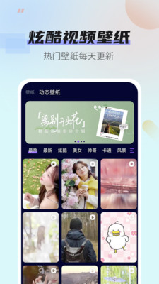 番茄动态壁纸APP