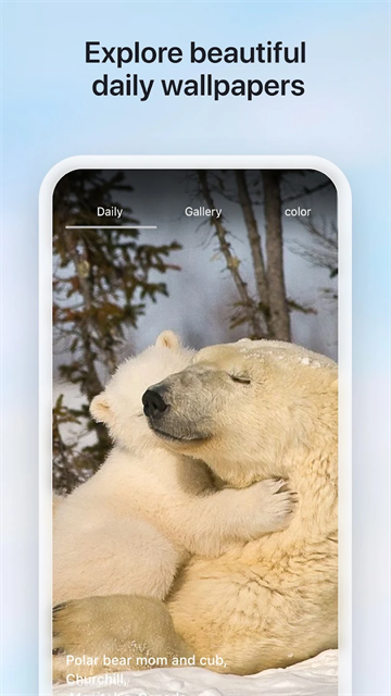 微软必应国际版app