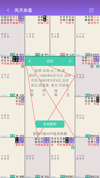 紫微斗数免费排盘app