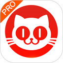 猫眼专业版app v8.7.0安卓版