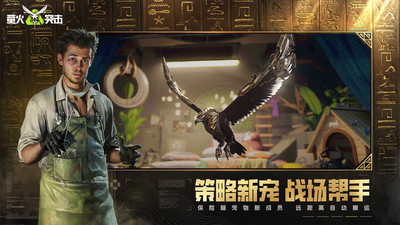 萤火突击手机版