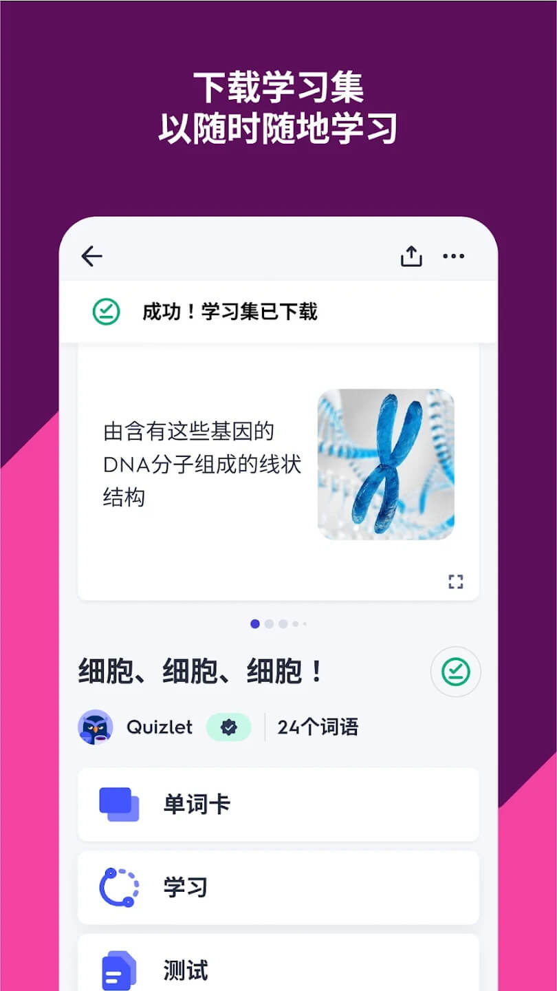 Quizlet app