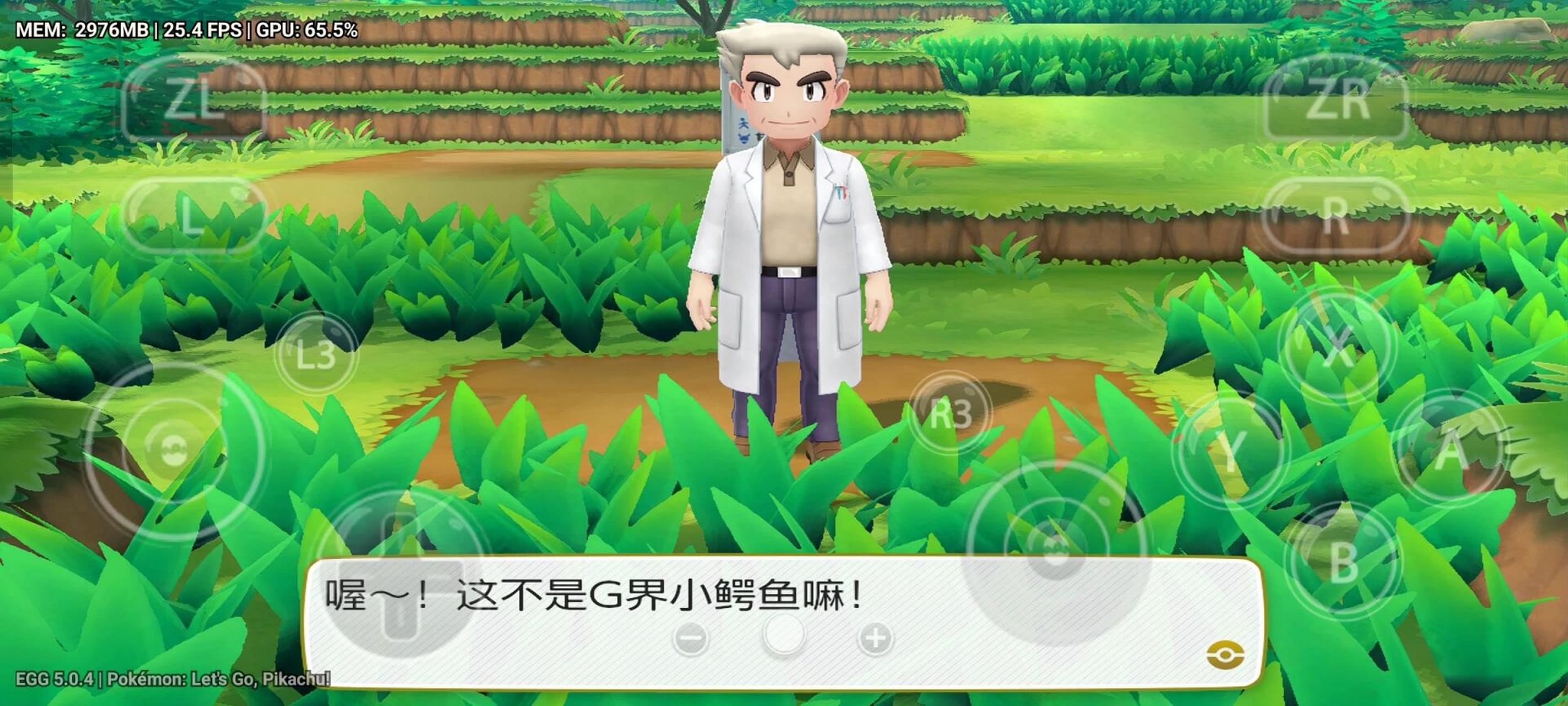 EGGNS模拟器(蛋蛋模拟器)