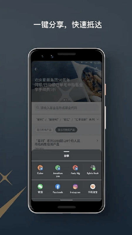 星展银行app