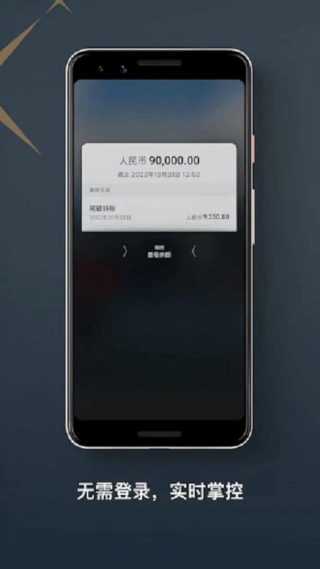 星展银行app